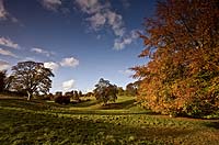 1170 Edensor Autumn Chris Gilbert, Ravenseye Gallery, Peak District, Photographs, Courses